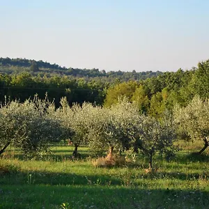 Olivetta - Istrische Mit Meerblick Nahe Porec Villa Barat (Porec)